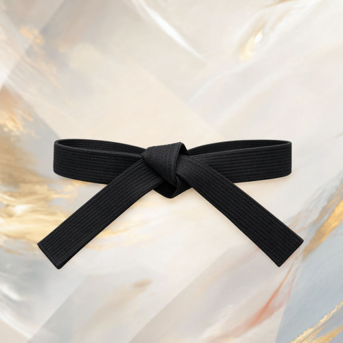 MODUS X Achieves Creatio Black Belt Enterprise Status - the Highest Level of Partner Certification 